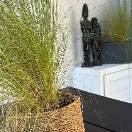 Apartament Semeli House *