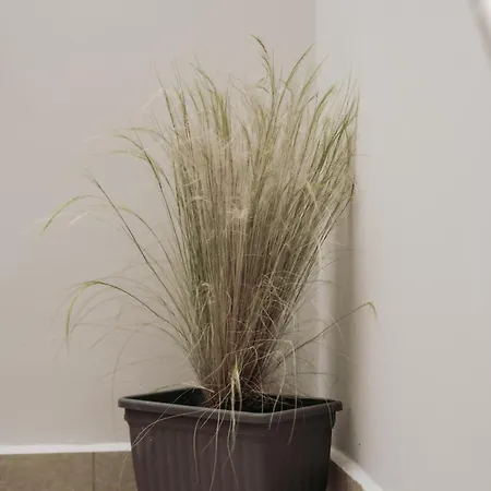 Semeli House Apartament *