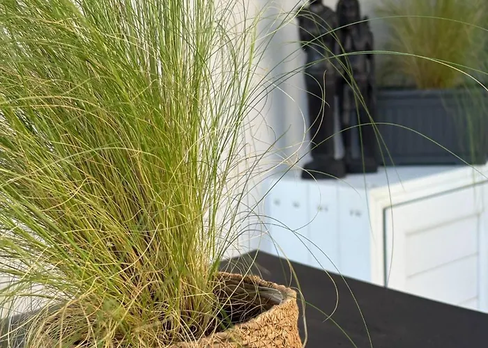 Apartament Semeli House *