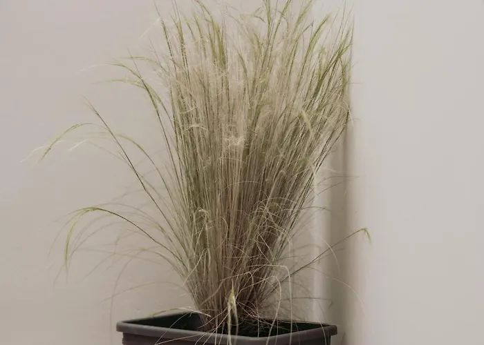 Semeli House Apartament *